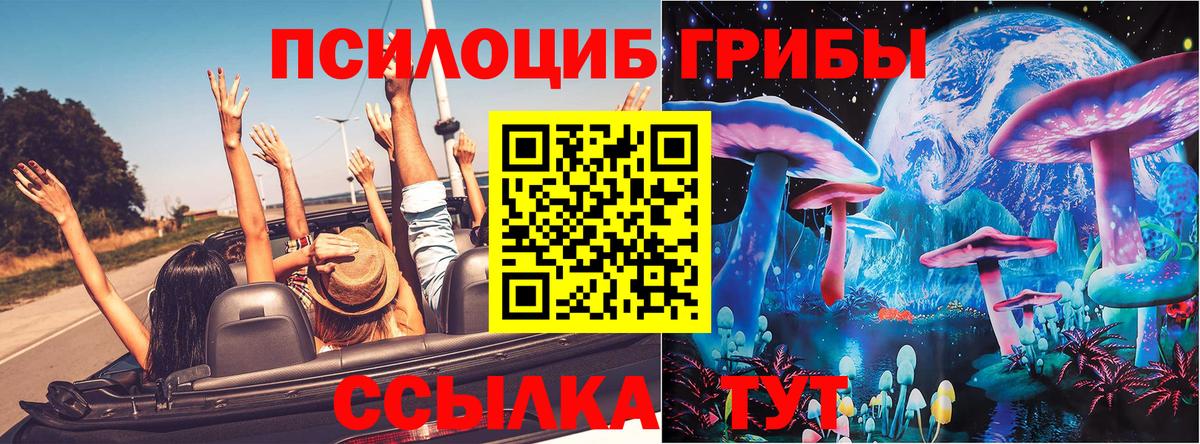 Псилоцибиновые грибы GOLDEN TEACHER  Вход с VPN  Кинель 